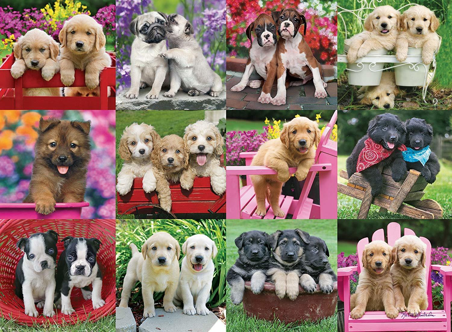 Ravensburger Puzzle 500pc - Puppy Pals