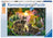 Ravensburger Puzzle 500pc - Wolf Family In Sunshine