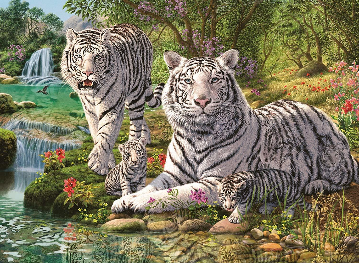 Ravensburger Puzzle 500pc - White Tiger Family