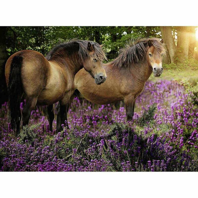 Ravensburger Puzzle 500pc - Ponies In The Flowers