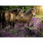 Ravensburger Puzzle 500pc - Ponies In The Flowers