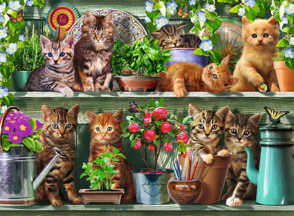 Ravensburger Puzzle 500pc - Cats on the Shelf