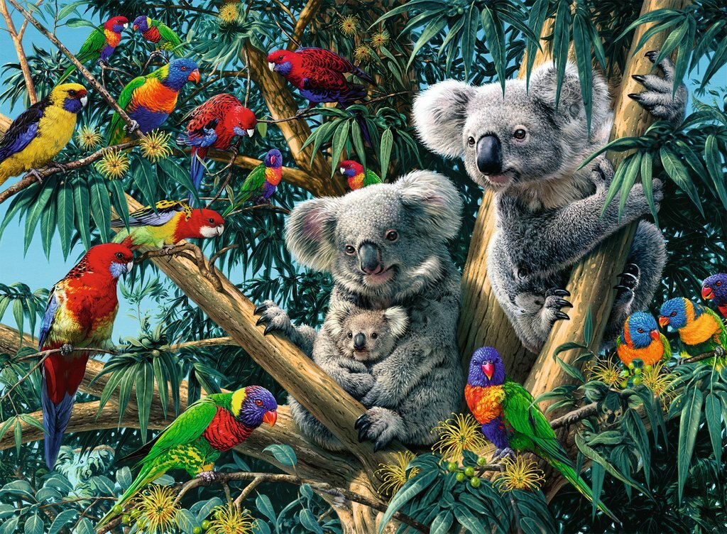 Ravensburger Puzzle 500pc - Koalas In A Tree