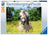 Ravensburger Puzzle 500pc - White Horse