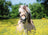 Ravensburger Puzzle 500pc - White Horse