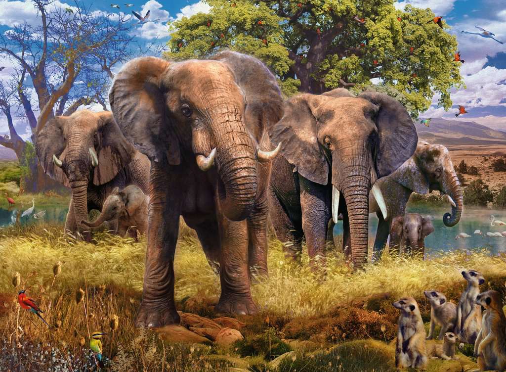 Ravensburger Puzzle 500pc - Elephant Family