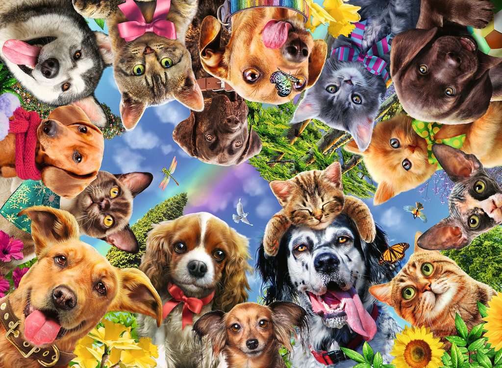 Ravensburger Puzzle 500pc - Animal Selfie