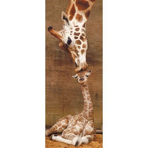 Ravensburger Puzzle 1000pc - First Kiss Panorama