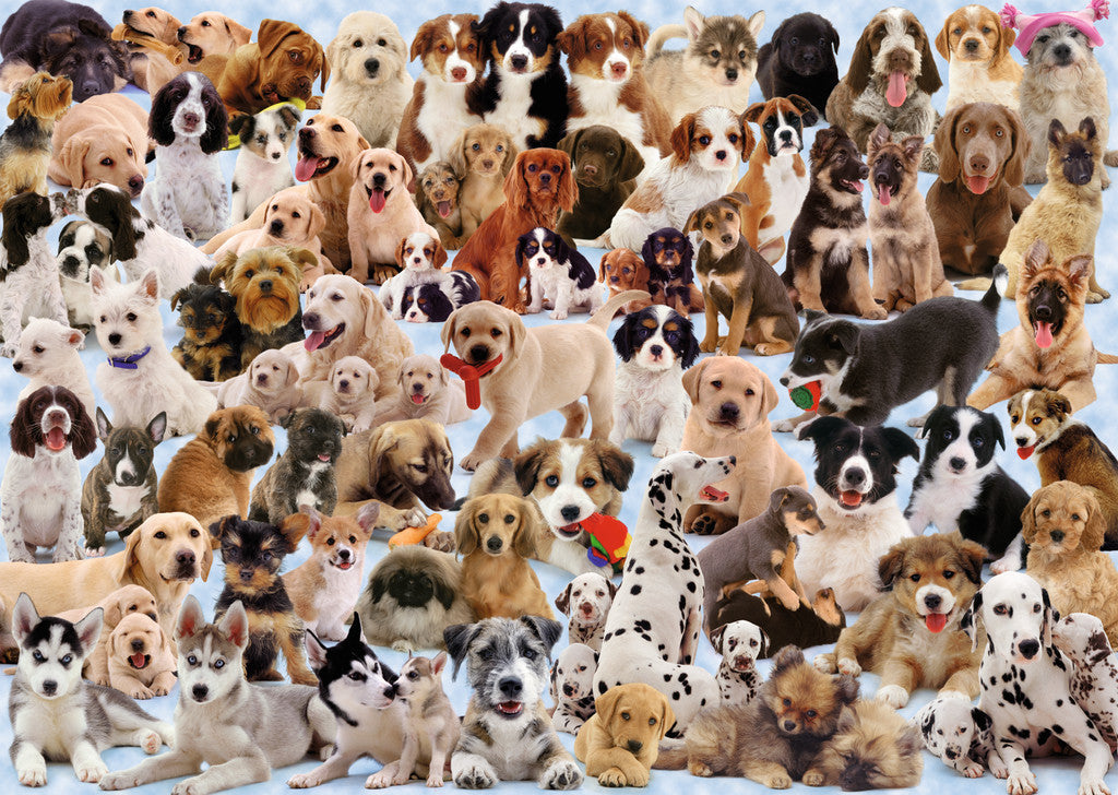 Ravensburger Puzzle 1000pc - Dogs Galore!
