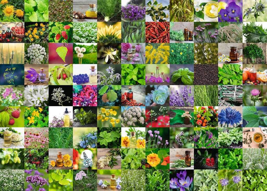 Ravensburger Puzzle 1000pc - 99 Herbs and Spices