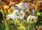 Ravensburger Puzzle 1000pc - Unicorns in the Forest