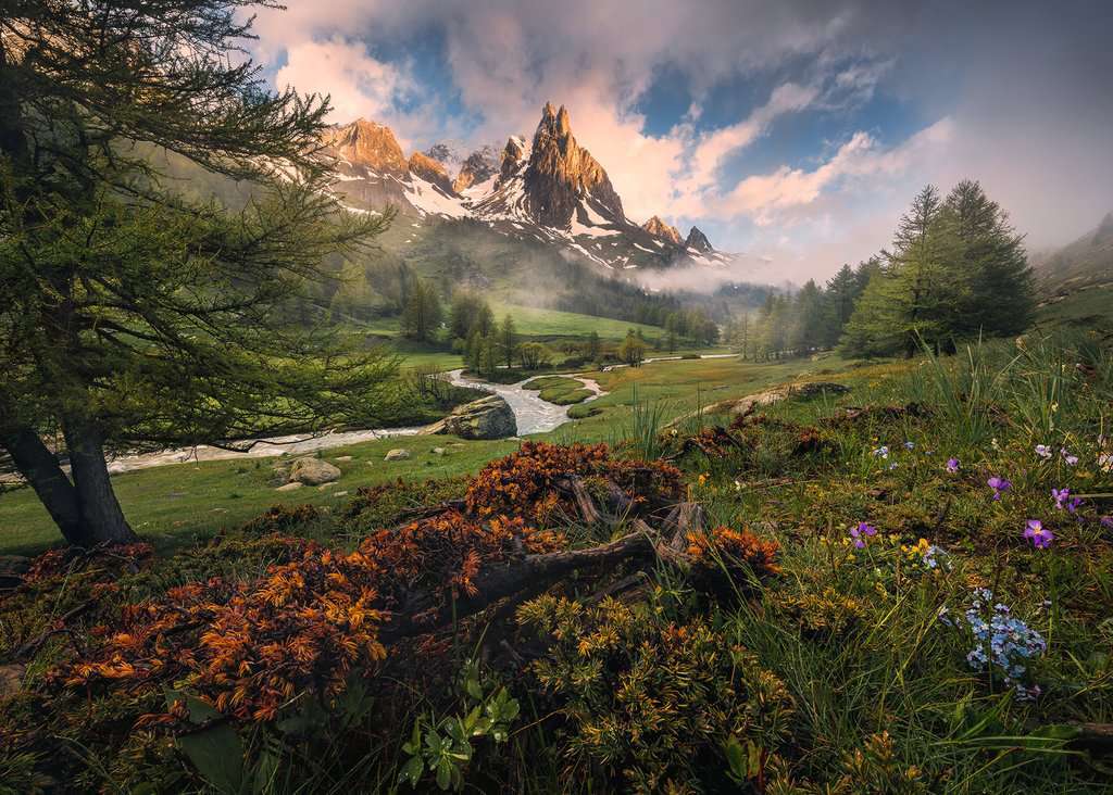 Ravensburger Puzzle 1000pc - Clara Valley French Alps