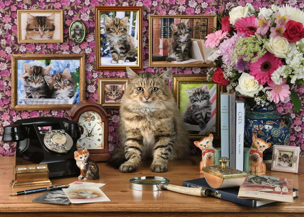Ravensburger Puzzle 1000pc - My Cute Kitty
