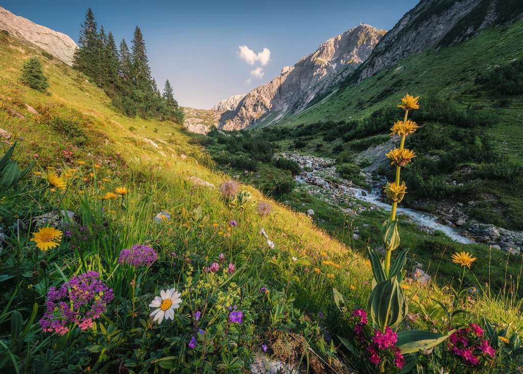 Ravensburger Puzzle 1000pc - Magical Valley