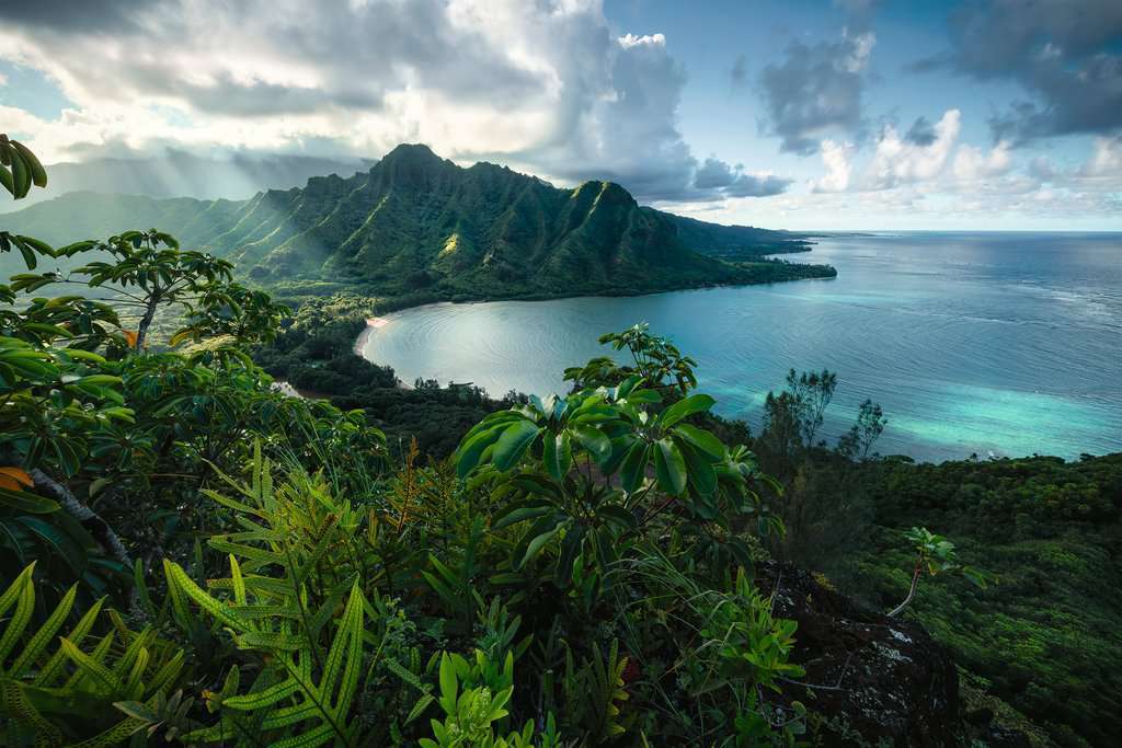 Ravensburger Puzzle 5000pc - Hawaiian Viewpoint