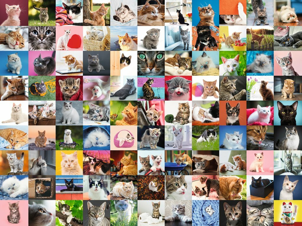 Ravensburger Puzzle 1500pc - 99 Cats