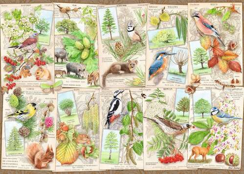 Ravensburger Puzzle 1000pc - Wondrous Tree