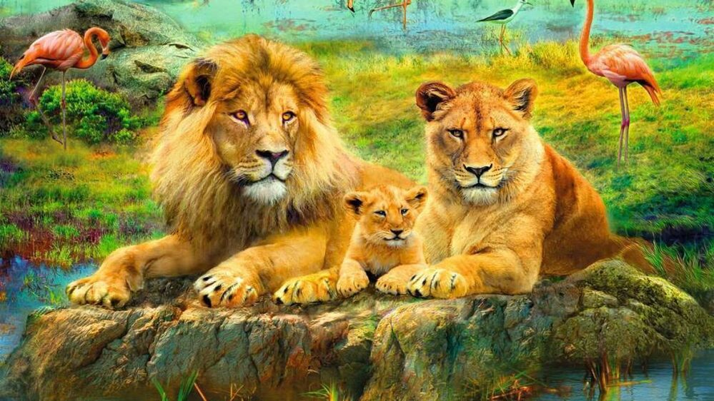 Ravensburger Puzzle 500pc - Lions in the Savannah