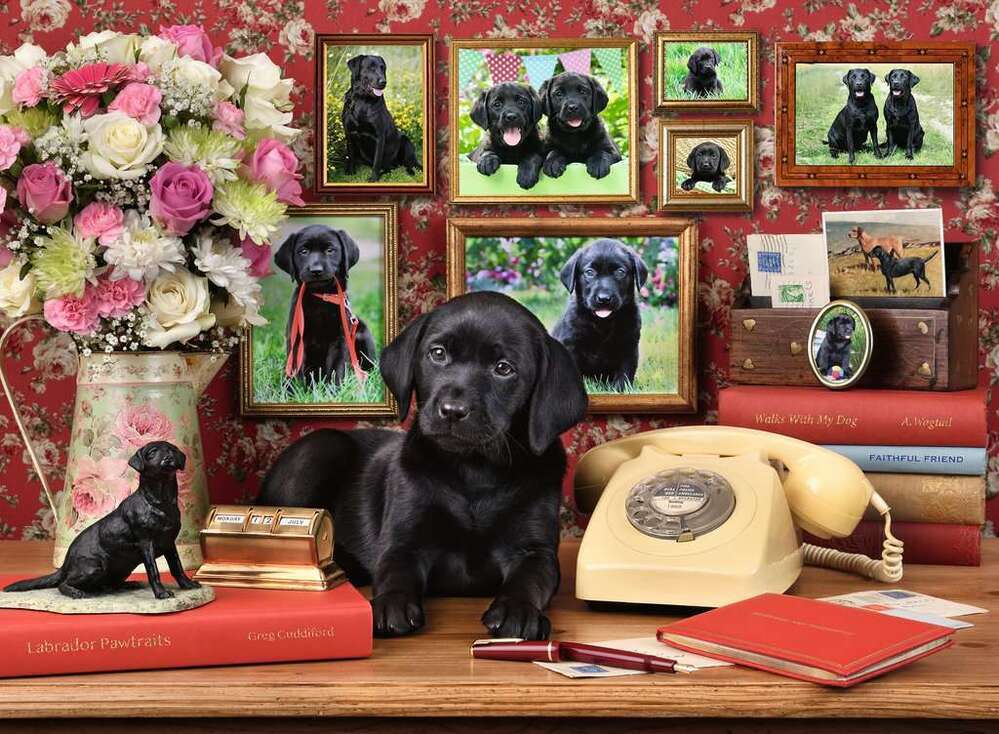 Ravensburger Puzzle 500pc - My Loyal Friends