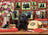Ravensburger Puzzle 500pc - My Loyal Friends