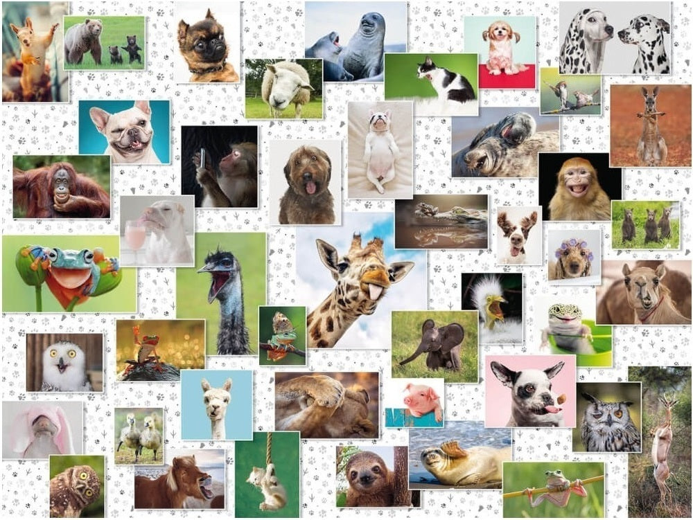 Ravensburger Puzzle 1500pc - Funny Animals