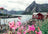 Ravensburger Puzzle 1000pc - Lofoten Norway