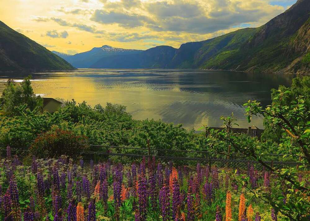 Ravensburger Puzzle 1000pc - Fjord in Norway