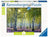 Ravensburger Puzzle 1000pc - Birch Forest