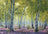 Ravensburger Puzzle 1000pc - Birch Forest