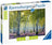 Ravensburger Puzzle 1000pc - Birch Forest