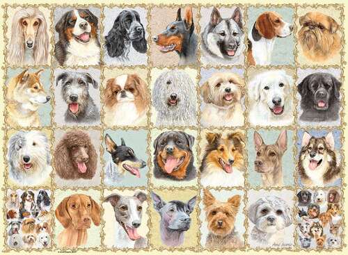 Ravensburger Puzzle 500pc - Mutt Shots!