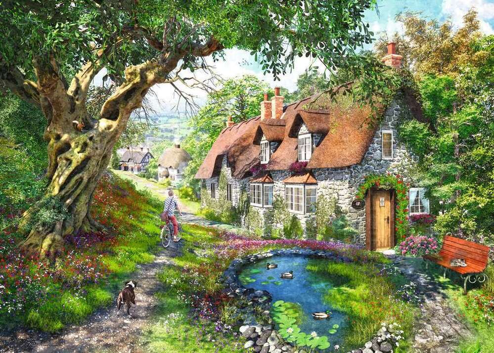 Ravensburger Puzzle 1000pc - Flower Hill Lane