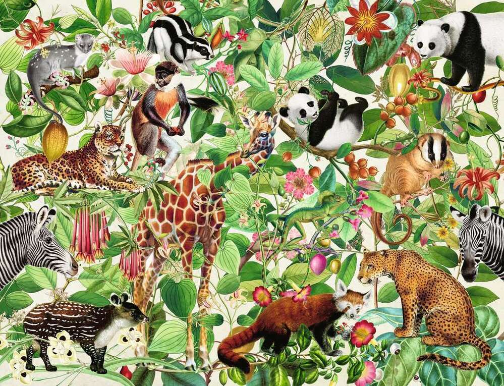 Ravensburger Puzzle 2000pc - Jungle