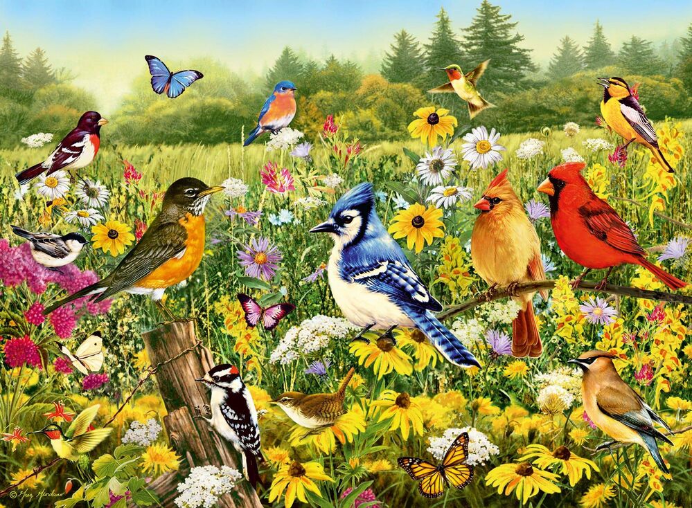 Ravensburger Puzzle 500pc - Birds in the Meadow