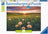 Ravensburger Puzzle 500pc - Dandelions at Sunset