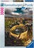 Ravensburger Puzzle 1000pc - Colosseum In Rome