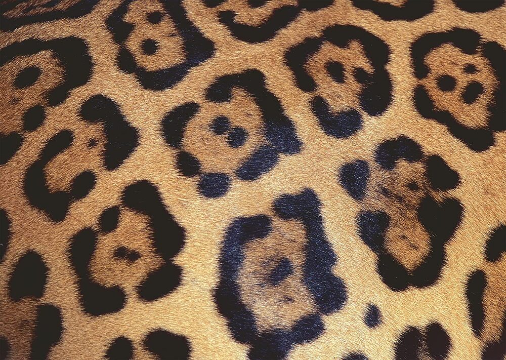 Ravensburger Puzzle 1000pc - Animal Print