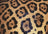 Ravensburger Puzzle 1000pc - Animal Print