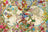 Ravensburger Puzzle 3000pc - Flora & Fauna World Map
