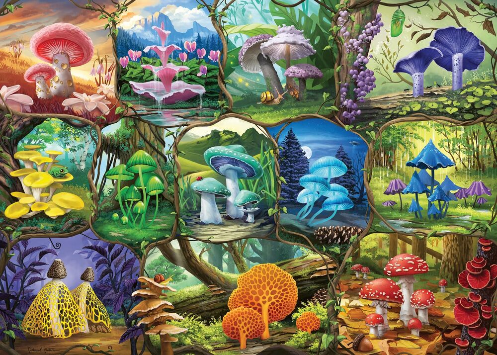 Ravensburger Puzzle 1000pc - Beautiful Mushrooms