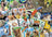 Ravensburger Puzzle 1000pc - A Traveler's Animal Journal