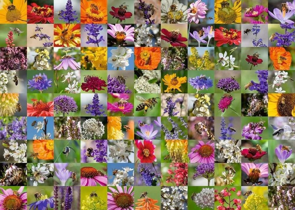 Ravensburger Puzzle 1000pc - 99 Bees