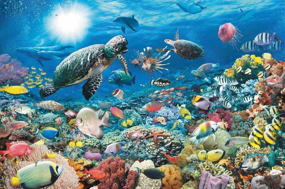 Ravensburger Puzzle 5000pc - Beneath The Sea