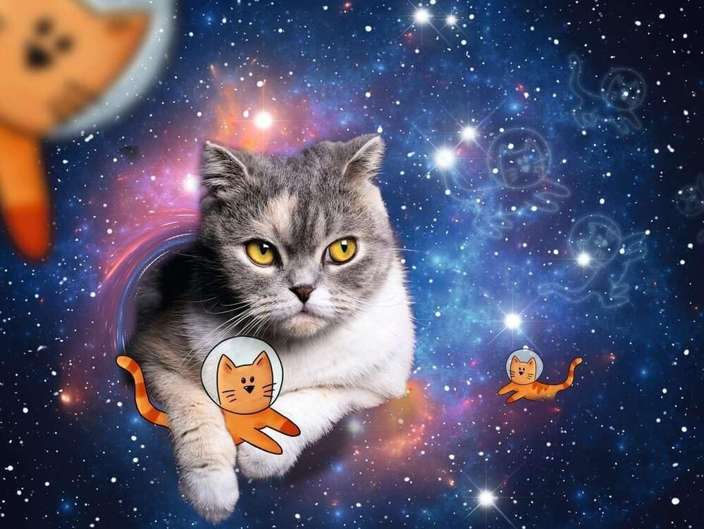 Ravensburger Puzzle 1500pc - Cats Flying to Outer Space
