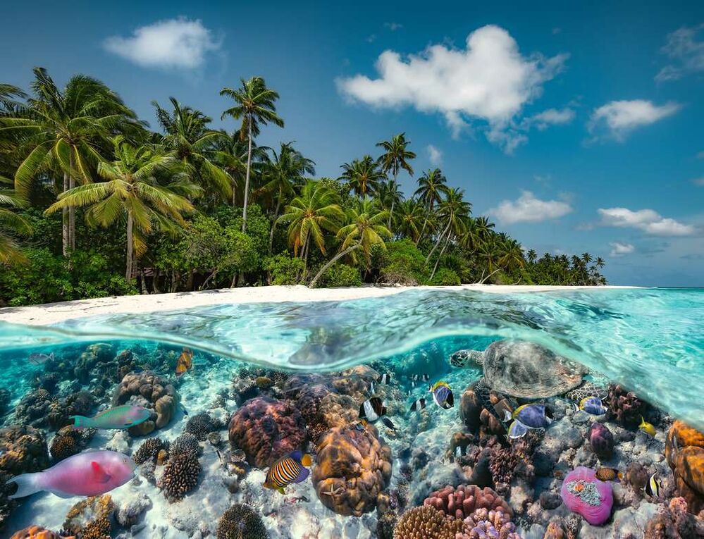 Ravensburger Puzzle 2000pc - A Dive in the Maldives