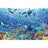 Ravensburger Puzzle 3000pc - Colourful Underwater World