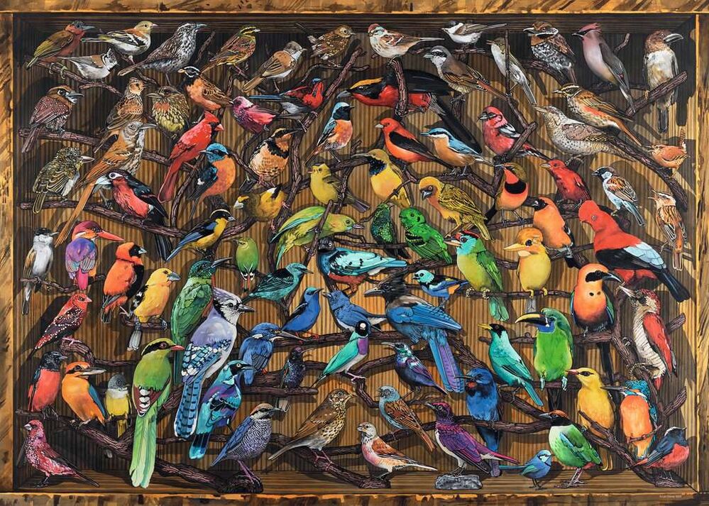 Ravensburger Puzzle 1000pc - Rainbow of Birds