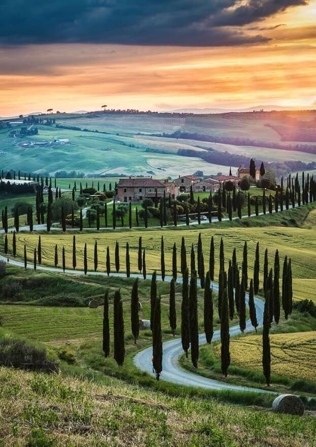 Ravensburger Puzzle 1000pc - Val d'Orcia, Tuscany