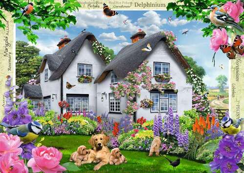 Ravensburger Puzzle 1000pc - Delphinium Country Cottage