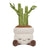Greenhouse by Russ Plant Plush - Malia the Bamboo 12inch
